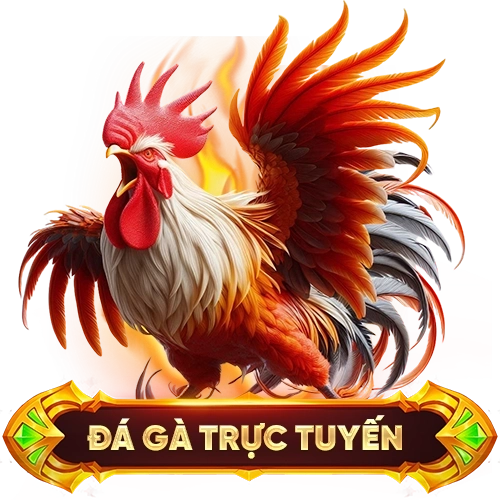 đá gà trực tuyến S666